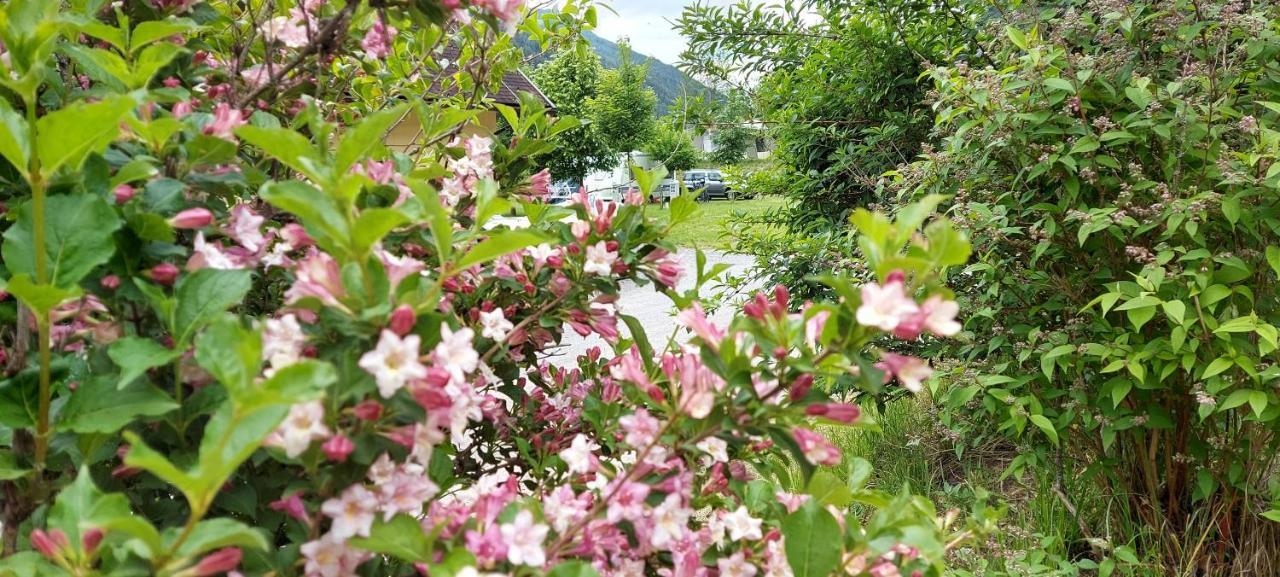 Camping Bella Austria Sankt Peter am Kammersberg Extérieur photo